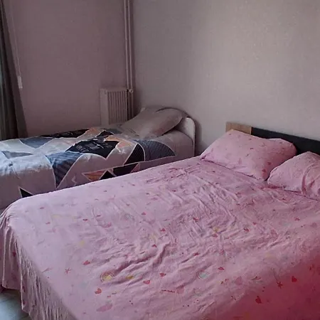 Chambre Privee Dans Grand Et Superbe Appartement Proche Paris منزل للإقامة *